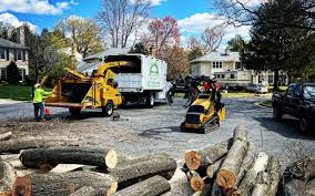 Best Lot and Land Clearing  in Turner, OR